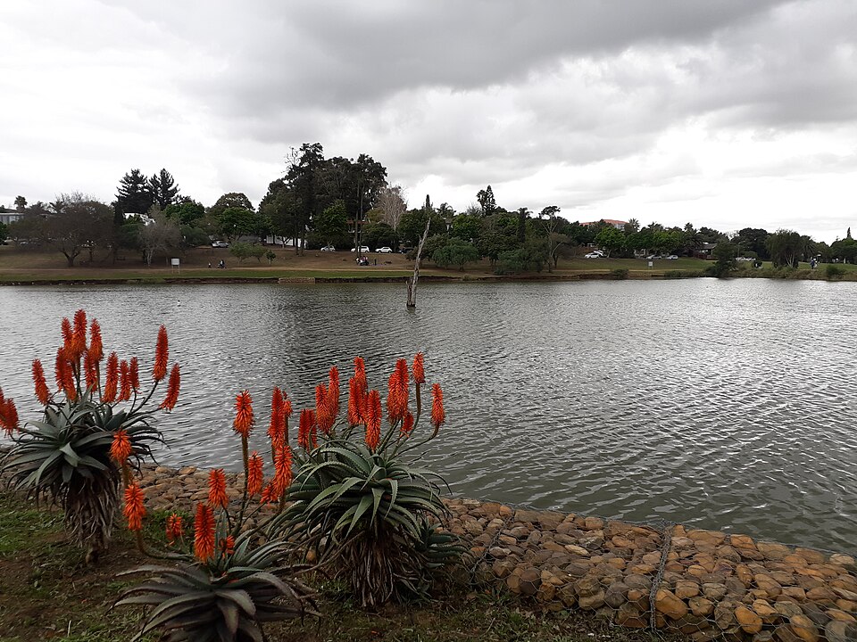 Sonstraal, Cape Town