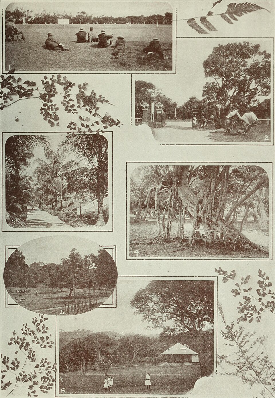 Bulwer, Durban