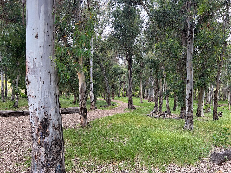 Arbor Park, Tzaneen